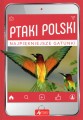 ptaki1.jpg