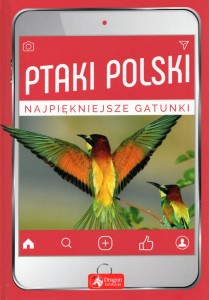 Ptaki Polski. Najpiękniejsze gatunki