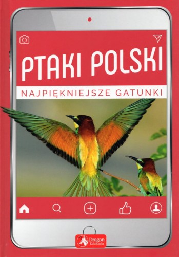 ptaki1.jpg