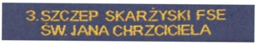 3_skarzynski.jpg