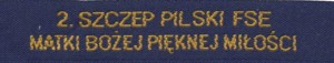 2. Szczep Pilski Matki Bożej Pięknej Miłości