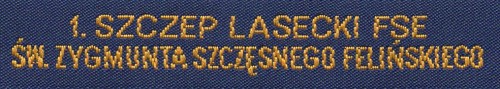 01_lasecki.jpg