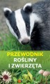 przew1.jpg