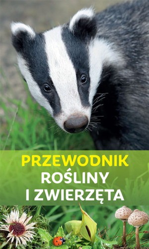 przew1.jpg