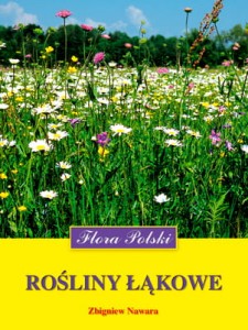 Rośliny łąkowe