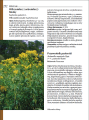 1a151978ee8c049fc20a42330b1fac9f.png