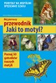 jakitomotyl1.jpg