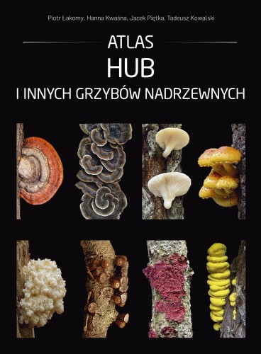 atals hub1.jpg