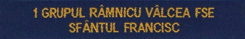 1grupul_romania.jpg