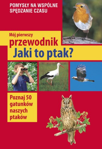 jaki-to ptak.jpg