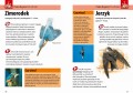 jaki-to ptak2.jpg