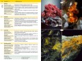 minerały2.jpg
