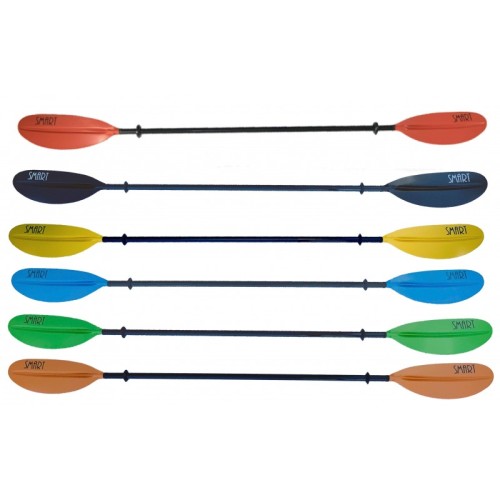 wioslo-smart-1cz (3).jpg