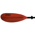 wioslo-smart-1cz (15).jpg