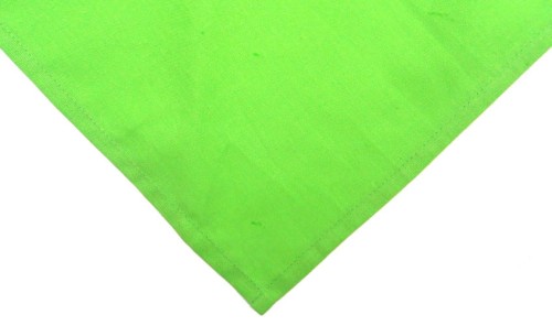 chusta zielona jasna.jpg