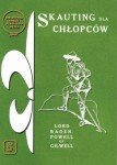 Skauting dla chłopców